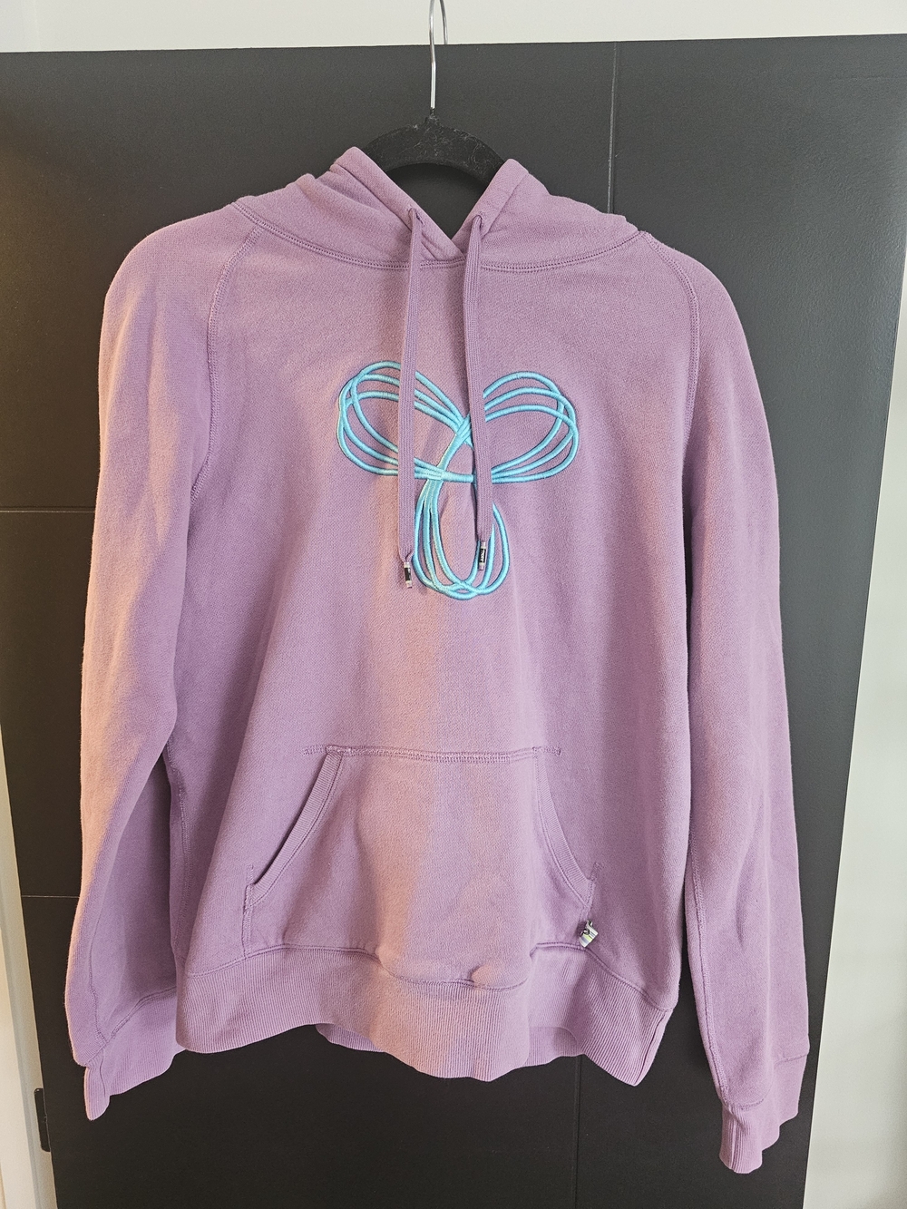 TNA Baltic Hoodie From Aritzia Featuring Embroidered Spiro turquoise Logo